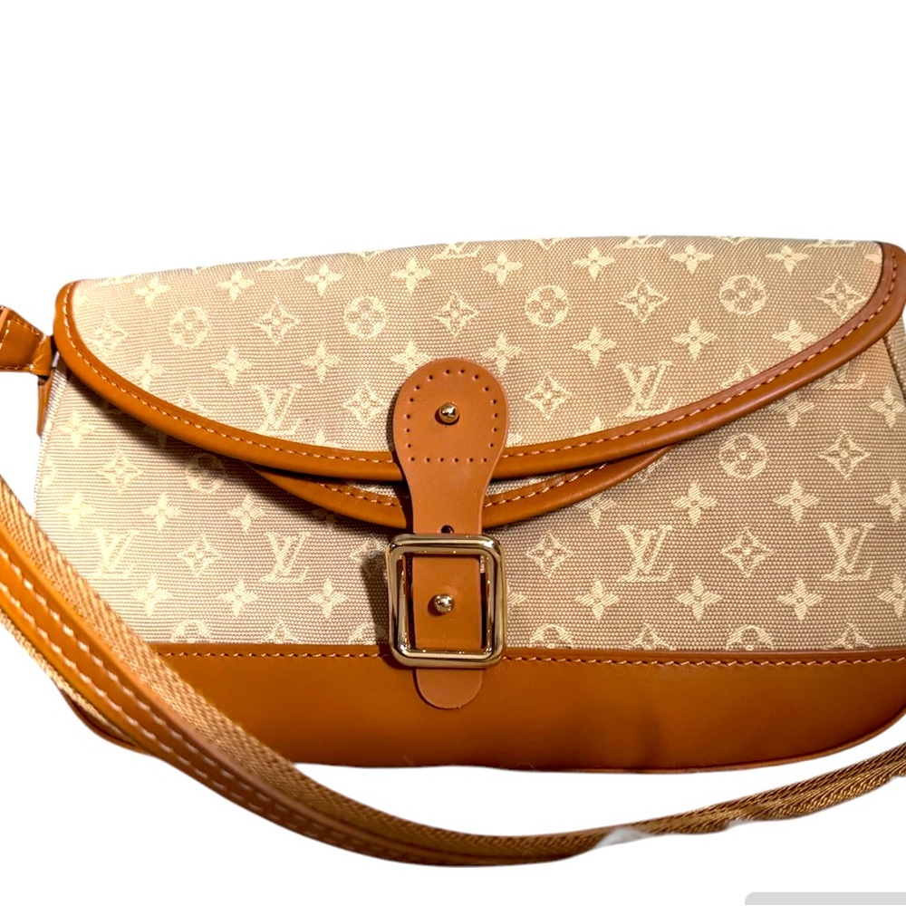 Louis Vuitton small purse